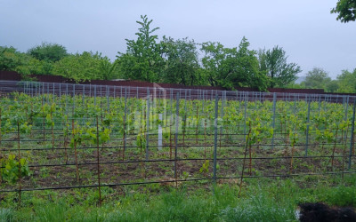 იყიდება კომერციული ფართი ძეგვი მცხეთა მცხეთა   მთიანეთი