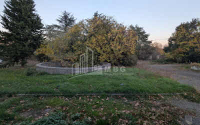 For Sale Commercial Akhmeta Kakheti