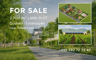 იყიდება მიწის ნაკვეთი ნოსირი სენაკი სამეგრელო   ზემო სვანეთი