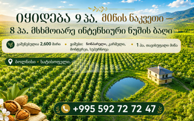 Продается Фруктовые сад Земля В Болниси