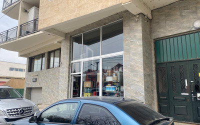 For Sale Commercial 13 Assyrian Father's Street Village Dighomi Saburtalo District Tbilisi