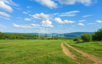 For Sale Country Land, in Dusheti