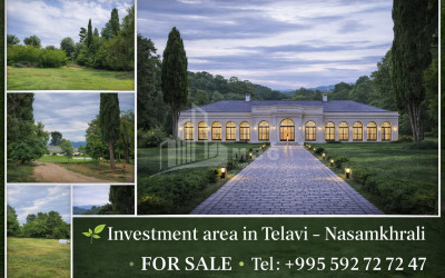 იყიდება ბიზნესი კომერციული ფართი თელავი კახეთი