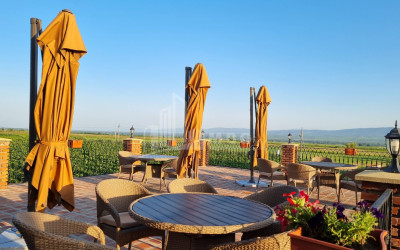 For Sale Commercial Kvareli City Kvareli Kakheti