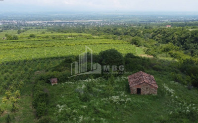 იყიდება მიწის ნაკვეთი ზეგაანი გურჯაანი კახეთი