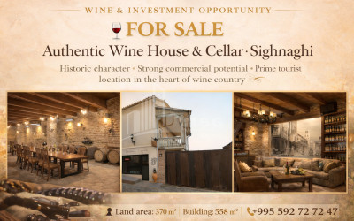 იყიდება შატო / ღვინის ქარხანა / მარანი კომერციული ფართი სიღნაღში