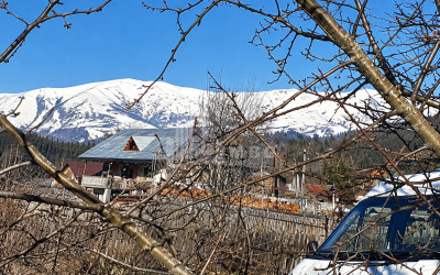 For Sale Country Land In Andesite, Borjomi