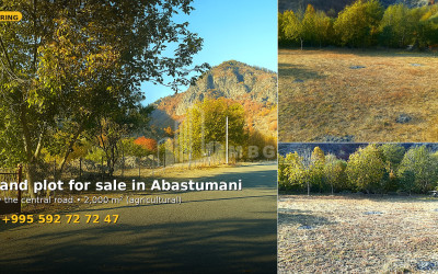 For Sale Land village Zvani Ozurgeti Municipalities of Guria