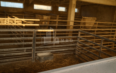 Продается Земля Зинобиани Кварели Кахети