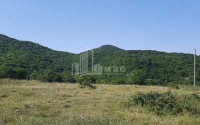 For Sale Country Land, in Tetritskaro
