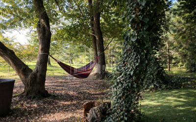 Business for sale Commercial Telavi Kakheti