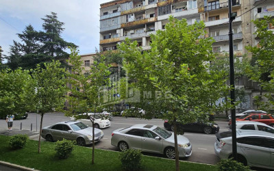 For Sale Flat A. Mitskevich Street Saburtalo Saburtalo District Tbilisi