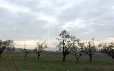 For Sale Land Kumisi Gardabani Kvemo Kartli