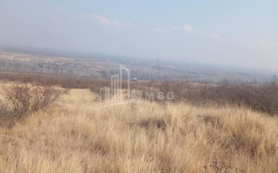 For Sale Land Samtatskaro Dedoplistskaro Kakheti