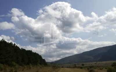 იყიდება მიწის ნაკვეთი, ზაქარო, მცხეთის მუნიციპალიტეტი, მცხეთა - თიანეთი