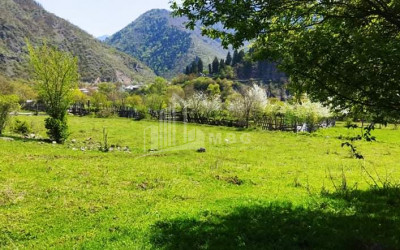 იყიდება სააგარაკე მიწის ნაკვეთი, ბორჯომი