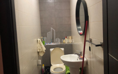 For Rent House - Villa, in Mtatsminda