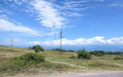 For Sale Land Telavi Kakheti