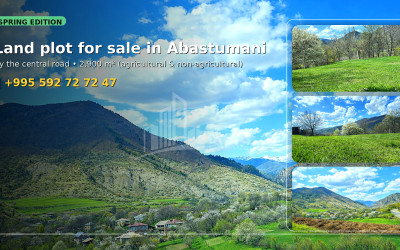 For Sale Land village Zvani Ozurgeti Municipalities of Guria