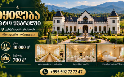 For Sale Chateau / Wine factory Commercial In Kvareli