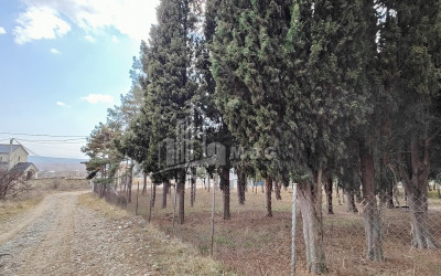 For Sale Commercial Kumisi Gardabani Kvemo Kartli