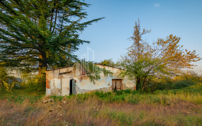 Продается Коммерческий Ахмета Кахети