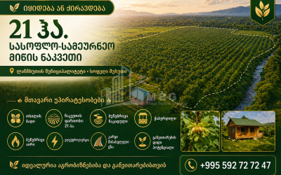 იყიდება ხეხილის ბაღი მიწის ნაკვეთი ქვემო შუხუთში, ლანჩხუთი