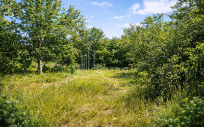 For-Sale-Land-Mchadijvari-village-Dusheti-Mtskheta---Mtianeti