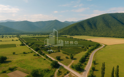 For Sale Land Kvareli Kakheti