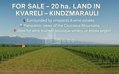For Sale Land Eniseli Kvareli Kakheti