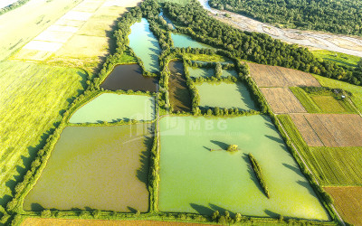 For Sale Land Kvemo Alvani Akhmeta Kakheti