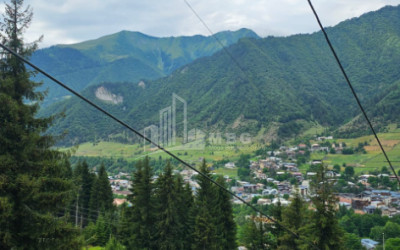 იყიდება მიწის ნაკვეთი ჰაწვალი მესტია სამეგრელო   ზემო სვანეთი