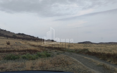 For Sale Land, Kvemo Bodbe, Signagi Municipality, Municipalities of Kakheti