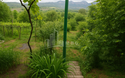 For Sale House Villa Dzegvi Mtskheta Mtskheta   Mtianeti