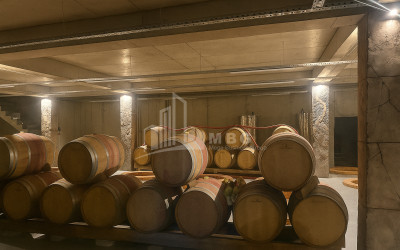 Продается Коммерческий Охио Ахмета Кахети