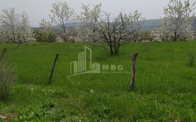 For Sale Country Land, in Tetritskaro