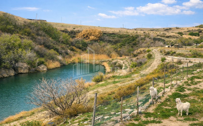 Продается Озеро - Рыболовное хозяйство Земля В Деревния Гачиани, Гардабани