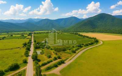 For Sale Land Kvareli Kakheti