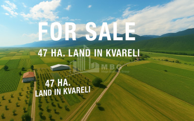 For Sale Land Kvareli Kakheti