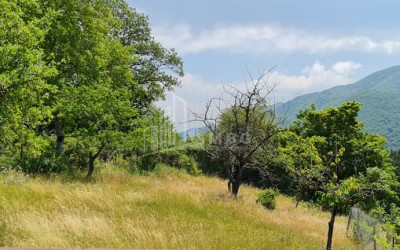 For Sale House - Villa, in Kvishkheti