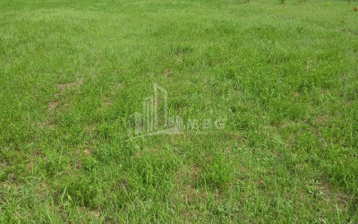 For Sale Country Land, in Village Baga