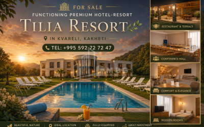 For Sale Hotel - Resort Commercial In Kvareli