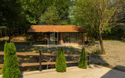 For Sale Commercial Gremi Kvareli Kakheti
