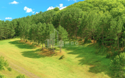 For Sale Land Daba Surami Khashuri Shida Kartli