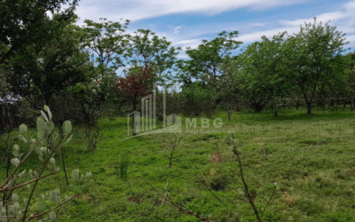 For Sale Land Grigoleti Lanchkhuti Municipalities of Guria