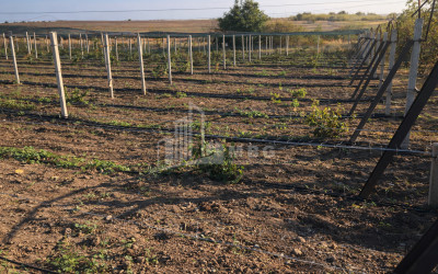 For Sale Land Kumisi Gardabani Kvemo Kartli