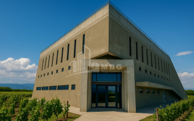 Продается Коммерческий Охио Ахмета Кахети