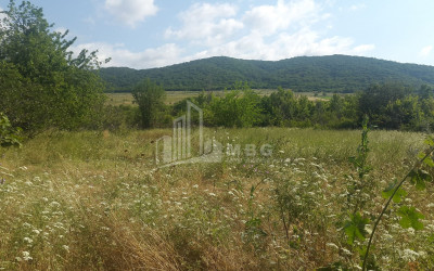 For Sale Country Land, in Tsinamdzgvriantkari