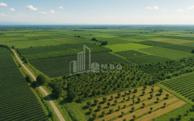 For Sale Land Kvareli Kakheti