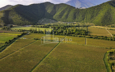 Продается Земля Поти Самегрело   Верхняя Сванетия